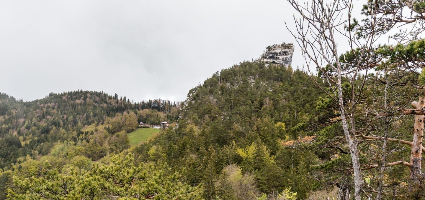 Der Felszahn der Stockflue, vom Bützi aus. © Marco Volken - <a href='https://www.sac-cas.ch/de/huetten-und-touren/sac-tourenportal/stockflue-8937/berg-und-alpinwandern/' target='_blank' rel='noopener'>SAC</a>
