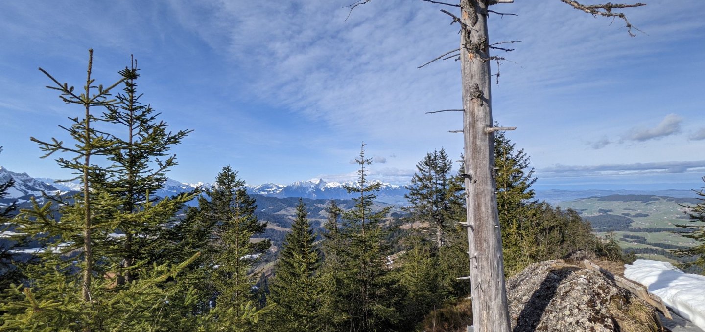Aussicht von der Honegg - &copy; Simon Rüfenacht